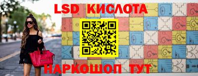 шишки Аргун