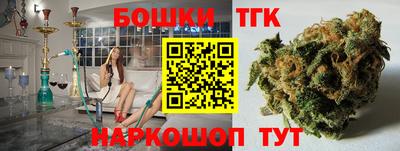 шишки Аргун