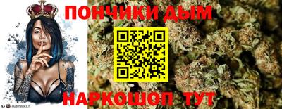 шишки Аргун