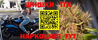 шишки Аргун