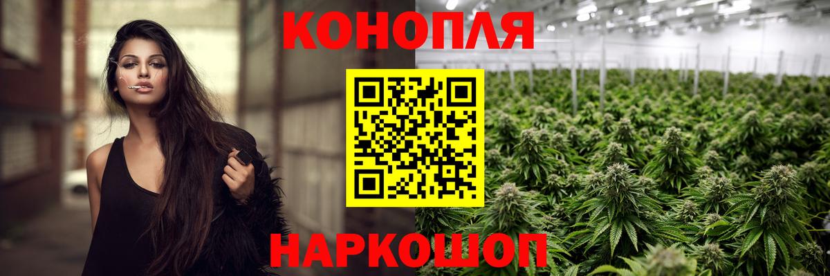 Каннабис сатива Выборг